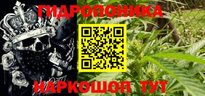 Альфа ПВП Кимры