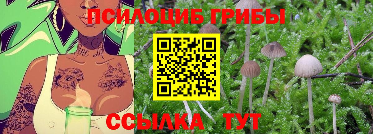 ТГК  Канабис  ГАШИШ  NBOMe  Cocaine  Вход с VPN  ГАШИШ  Михайловка  МЕФ  