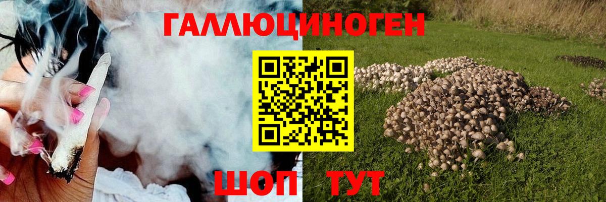 Псилоцибиновые грибы мухоморы Михайловка
