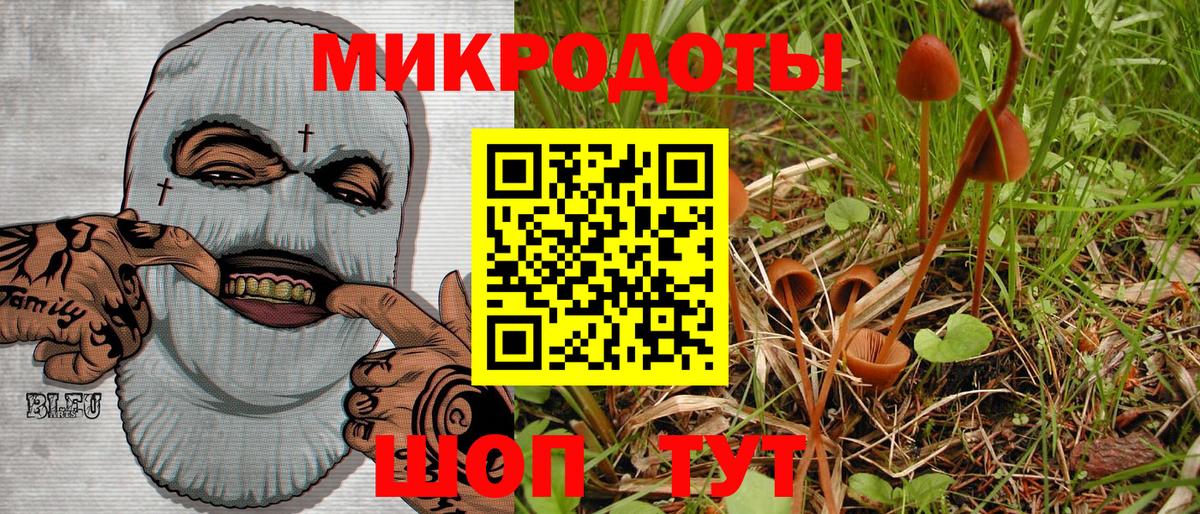 Галлюциногенные грибы мухоморы  Михайловка 