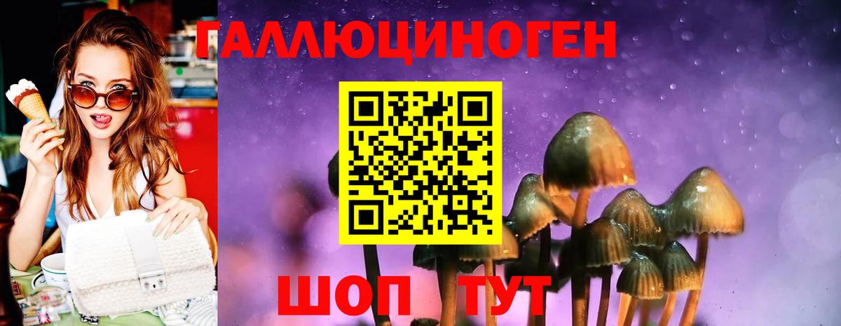 Галлюциногенные грибы Psilocybine cubensis  Вход с VPN  Михайловка 