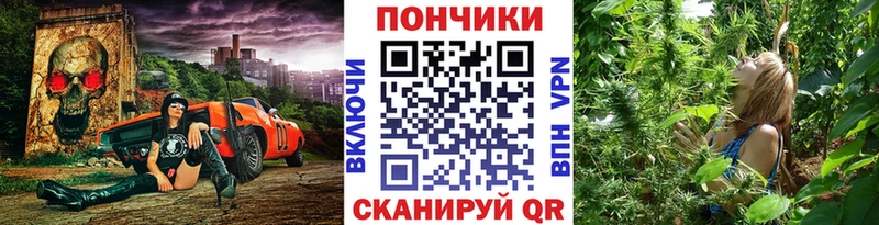 Конопля OG Kush Михайловка